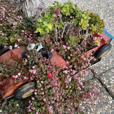 Metal Car Planter with Succulents