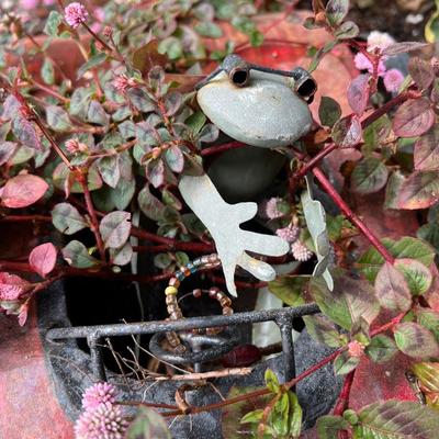 Metal Car Planter with Succulents