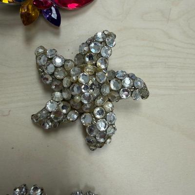 Vintage Clip-On Earrings and Brooches (ST-SS)