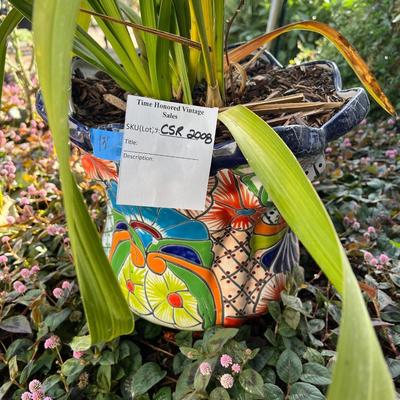 SOLD Talavera Planter with Cymbidium