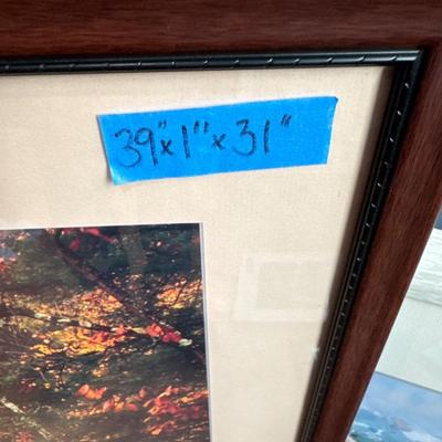 Framed artworks, photographs, Prints