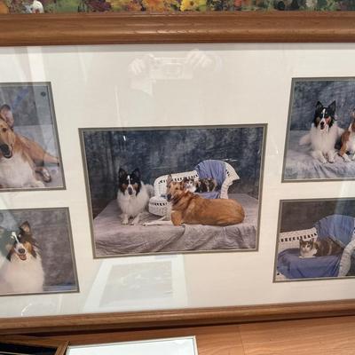 Framed artworks, photographs, Prints