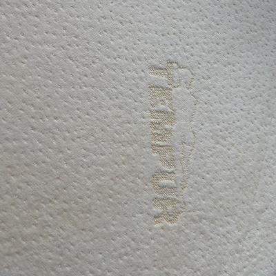 Mancini’s Sleepworld Adjustable Twin Bed and Tempurpedic Twin Mattress