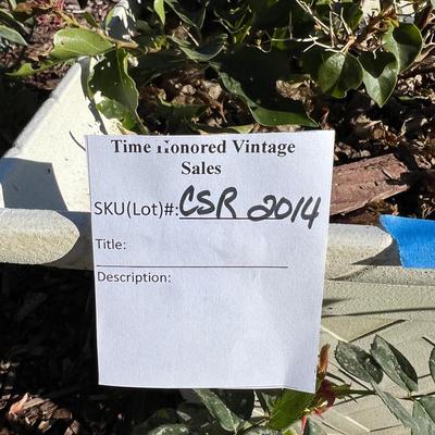 Live potted Plants in pots with decor