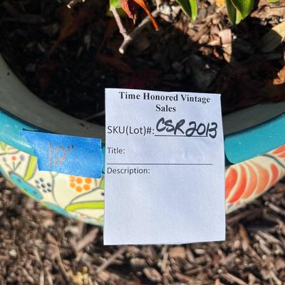 Talavera Planter with Live Mandevilla Plant