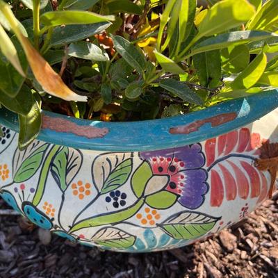 Talavera Planter with Live Mandevilla Plant