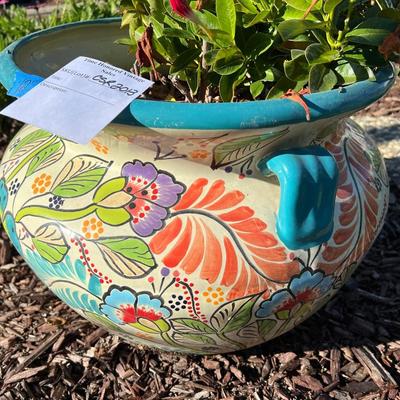 Talavera Planter with Live Mandevilla Plant