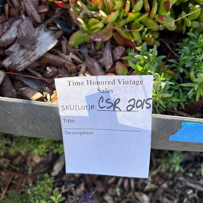 Plastic and Ceramic Pots with Live Plants