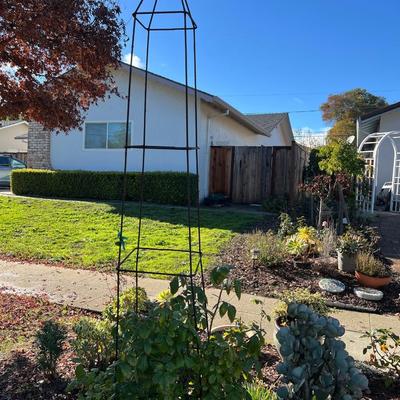 Ceramic and Planter and Garden Decor