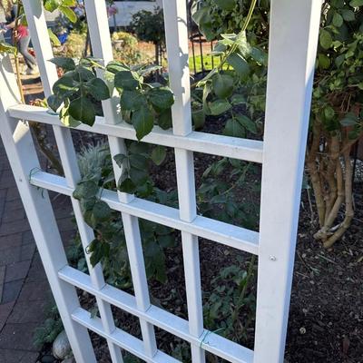 Eight foot arch plastic