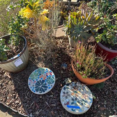 Planters With live Plants and Mosaic Stepping Stones