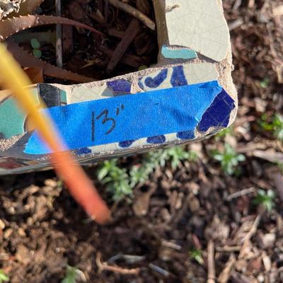 Potted plants and Garden Decor