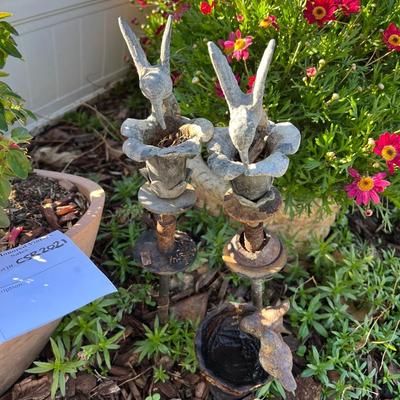 Potted plants and Garden Decor