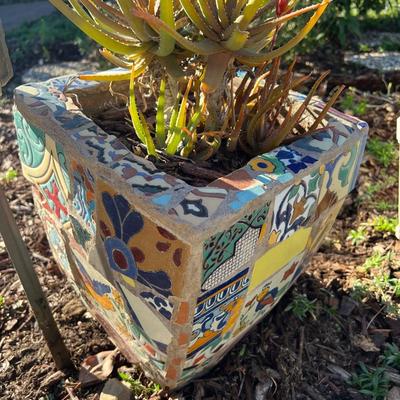 Potted plants and Garden Decor