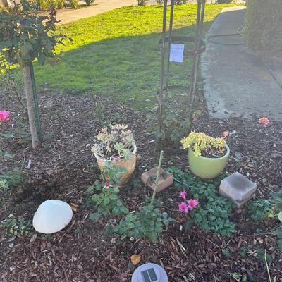 Potted Plants and Obelisk Trellis