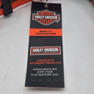 Sale Photo Thumbnail #413