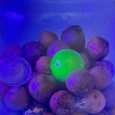 Sale Photo Thumbnail #388