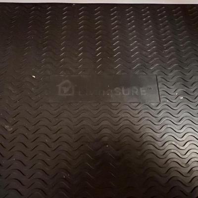 2 Livingsure Step Ladders