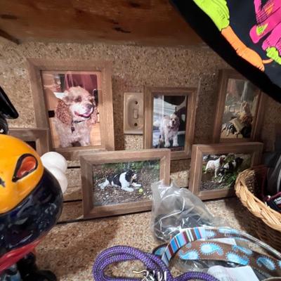 Dog Supplies and Dog Decor