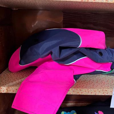 Dog Supplies and Dog Decor