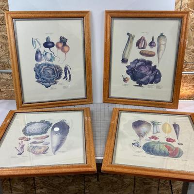 Vintage Reproduction of 19th Century Album Vilmorin 19th Century Seed Company Set of 4