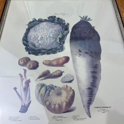 Vintage Reproduction of 19th Century Album Vilmorin 19th Century Seed Company Set of 4