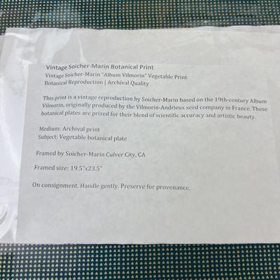 Vintage Reproduction of 19th Century Album Vilmorin 19th Century Seed Company Set of 4