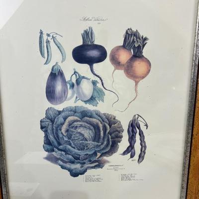 Vintage Reproduction of 19th Century Album Vilmorin 19th Century Seed Company Set of 4