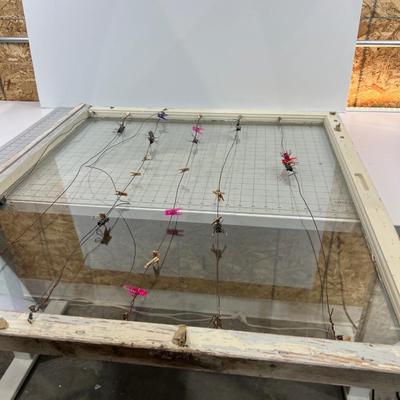 FUN Vintage Window Frame, Fashioned with Wire for Pictures 