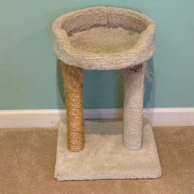 Carpeted Cat Trees (LR-SF)