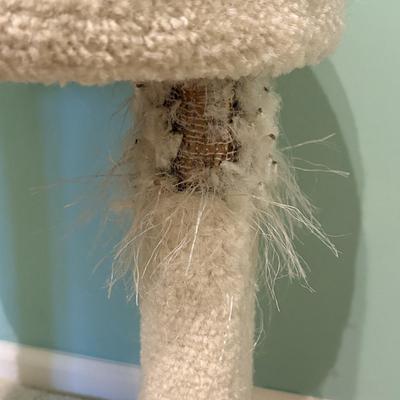 Carpeted Cat Trees (LR-SF)