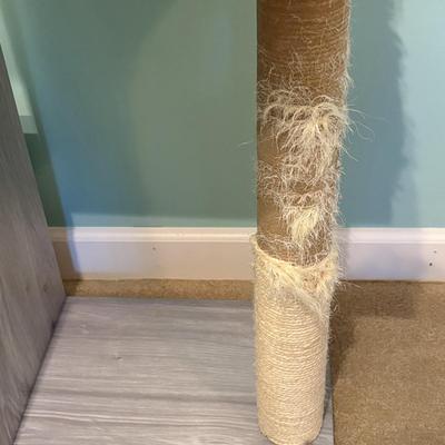 Carpeted Cat Trees (LR-SF)