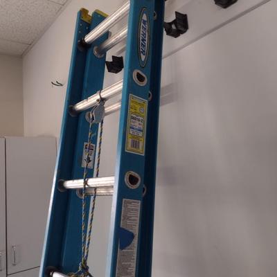 Werner Electro-Master 250lb Capacity 16' Extension Ladder