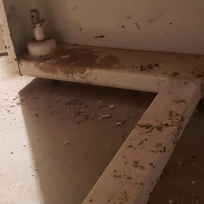 Ironrite Automatic Iron (BS2-KD)