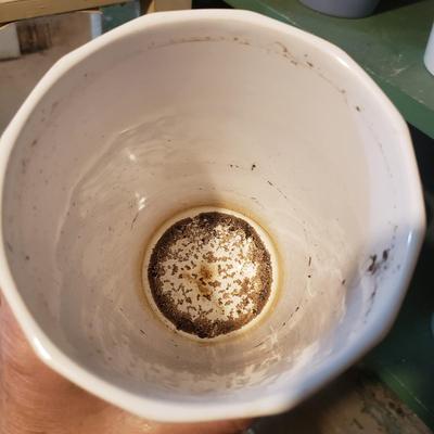 Flower Pots, Brass Watering Can and More (BS1-KD)