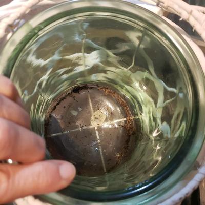 Flower Pots, Brass Watering Can and More (BS1-KD)