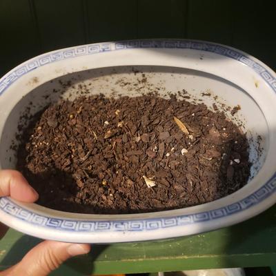 Flower Pots, Brass Watering Can and More (BS1-KD)