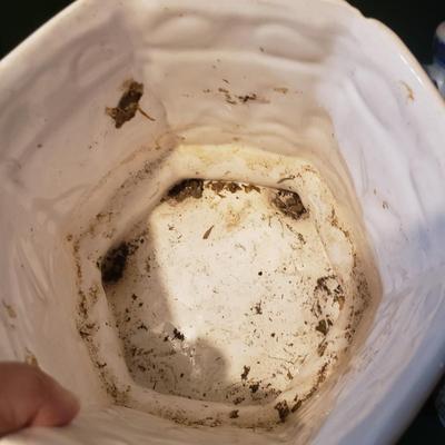 Flower Pots, Brass Watering Can and More (BS1-KD)