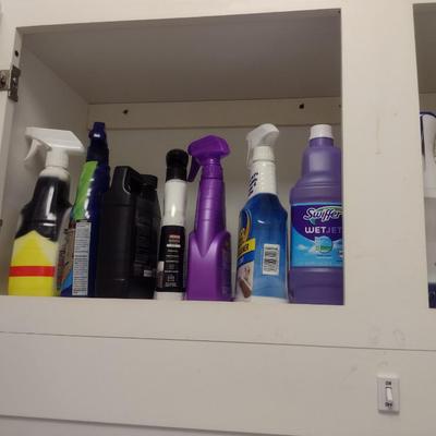 Collection of Household Cleaners
