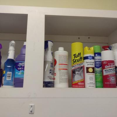 Collection of Household Cleaners