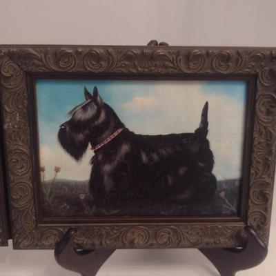 Pair of Framed Scottish Terrier Pictures