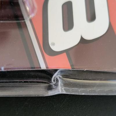 Sale Photo Thumbnail #776: Dale Earnhardt Jr Winners Circle & Ricky Rudd Racing Champions (package is warped as pictured)