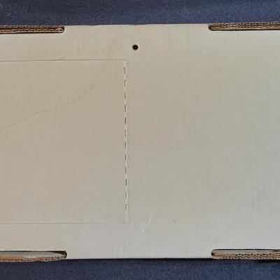 Sale Photo Thumbnail #794: Dale Earnhardt Jr Clock with License Plate Holder 
(Box measures 56"L×25"W×6"H)