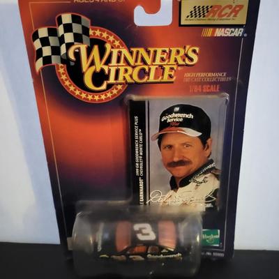 Sale Photo Thumbnail #820: Dale Earnhardt Jr Winners Circle (Has damage to right corner as pictured)