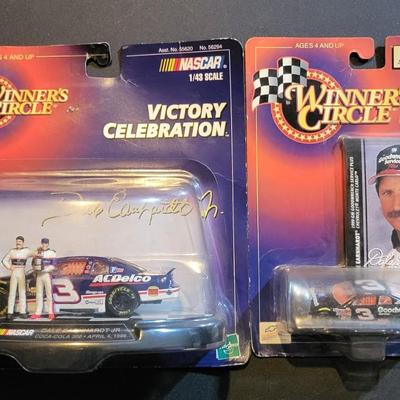 Sale Photo Thumbnail #812: Dale Earnhardt Jr Winners Circle (Has damage to right corner as pictured)