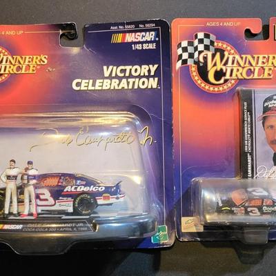 Sale Photo Thumbnail #823: Dale Earnhardt Jr Winners Circle (Has damage to right corner as pictured)