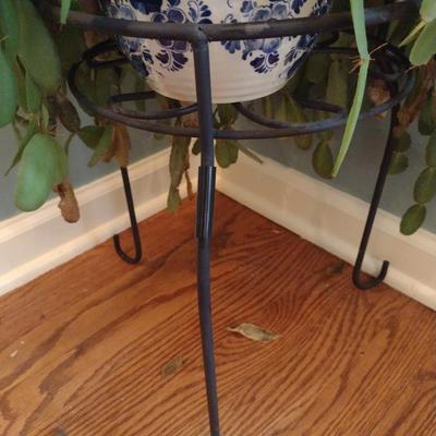 Cactus in Ceramic Pot with Metal Stand