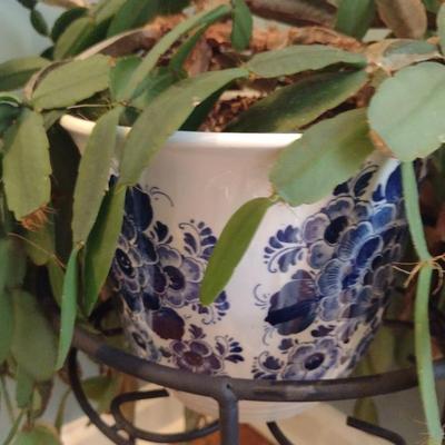 Cactus in Ceramic Pot with Metal Stand