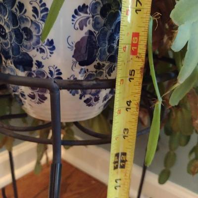 Cactus in Ceramic Pot with Metal Stand
