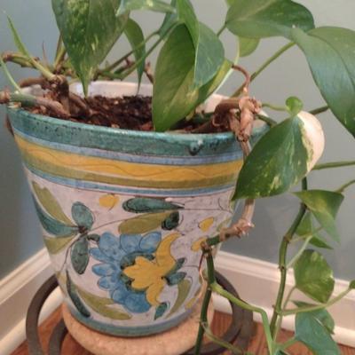 Live Plant in Ceramic Pot with Metal Stand